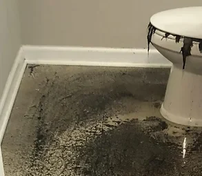 24/7 Sewer Back up & Clean up/Remediation