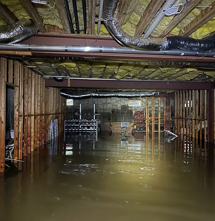 24/7 Emergency Water Damage Services 